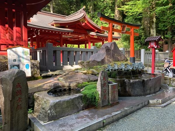 日本・箱根「家族旅行in箱根」の写真