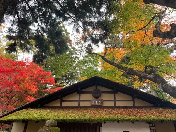 日本・京都「京都紅葉旅行」の写真