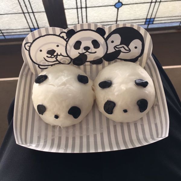日本・アドベンチャーワールド「和歌山パンダ旅」の写真：パンダマンと、パンダ🐼
