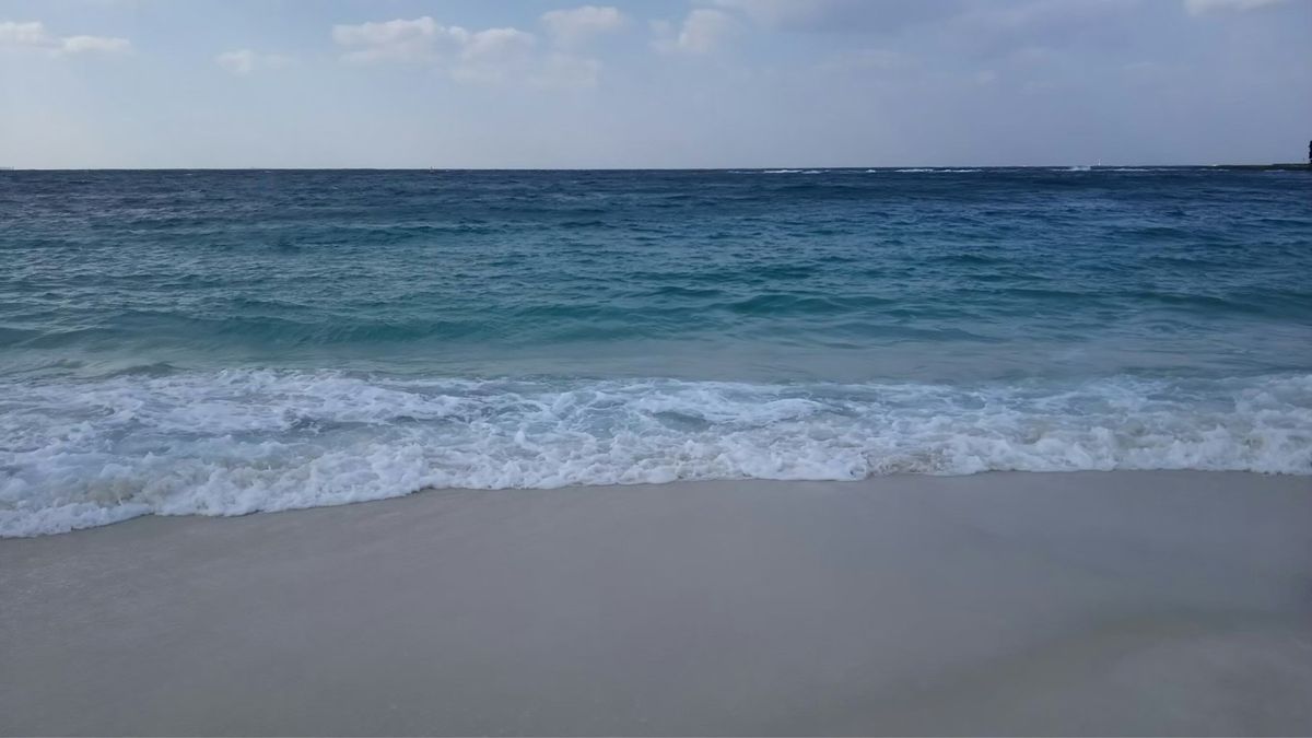 和歌山駅の白浜。
寒かったけど海は綺麗だった♡