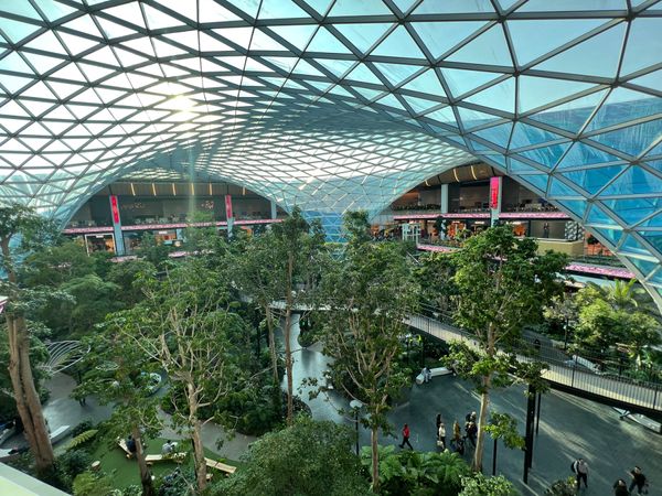 カタール・Doha「ナイジェリア出張2」の写真：ハマド国際空港の庭園がすごい