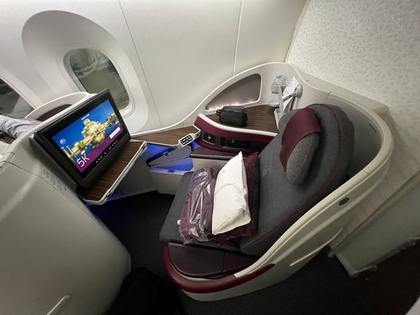 カタール・Doha「ナイジェリア出張2」の写真：カタール航空B787-8
