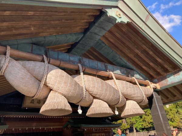 日本・島根県「銀婚式｛島根県出雲市］」の写真