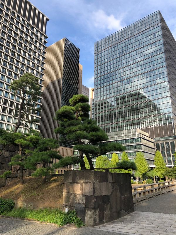 日本・東京都「東京」の写真