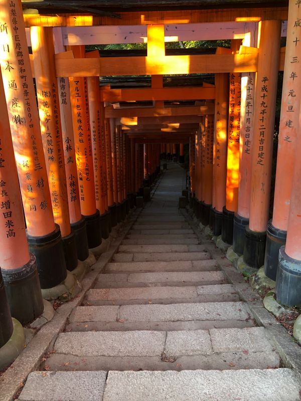 日本・京都府「京都」の写真