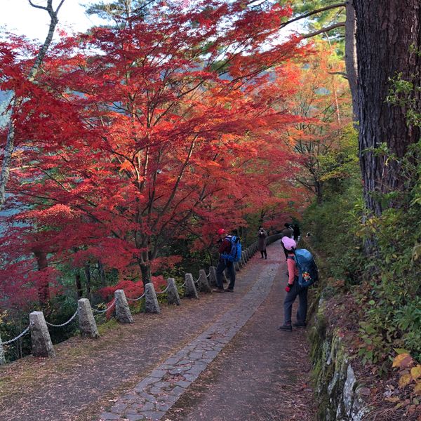 日本・吉野山「吉野山」の写真