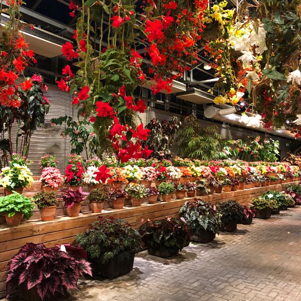 日本・愛知県「名古屋」の写真