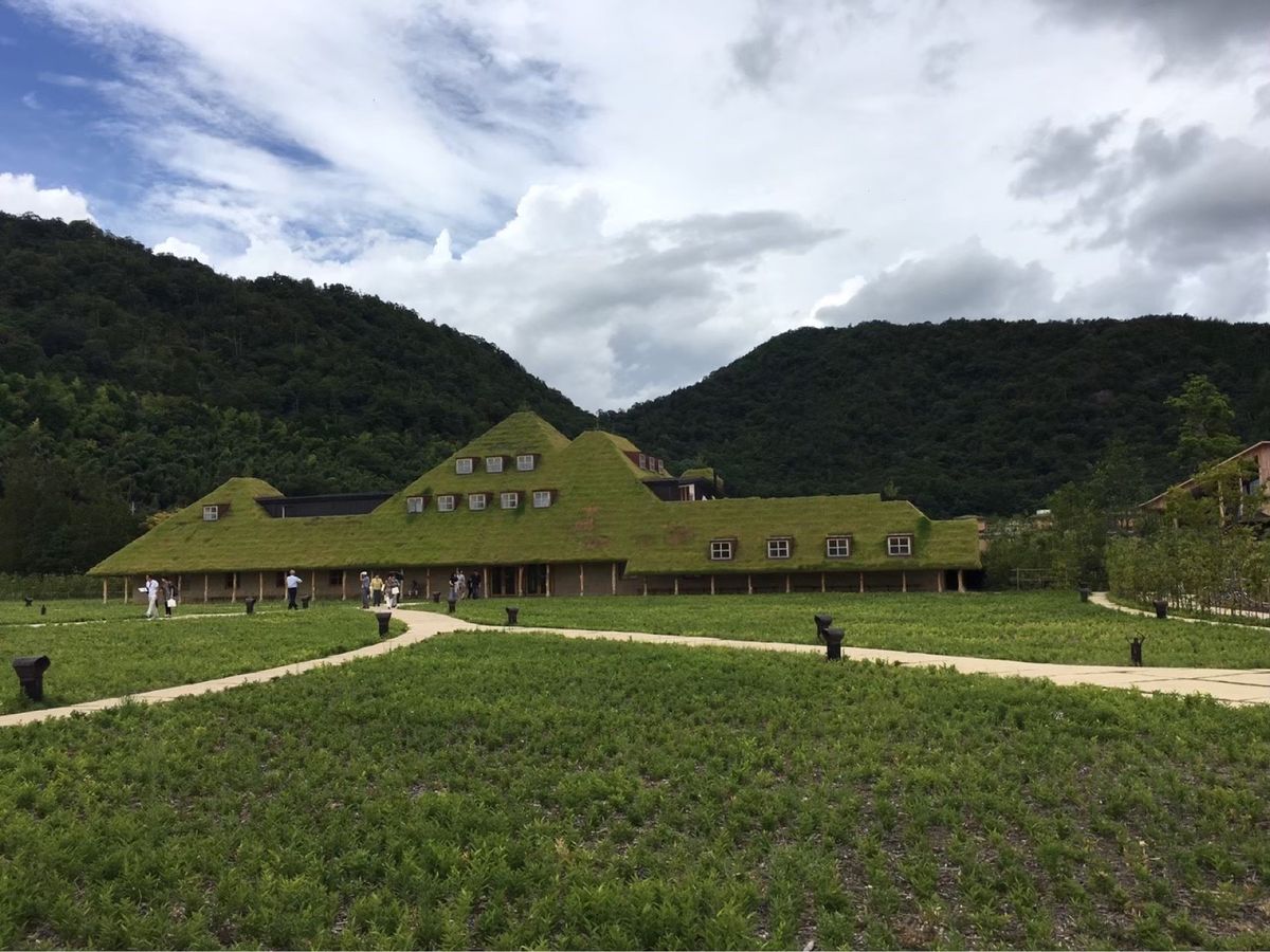 できたてのバームクーヘンは美味しかった♡
