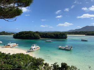 最終日は晴れたのでリベンジ川平湾。グラスボートで海亀に遭遇🐢しかも3匹（う...