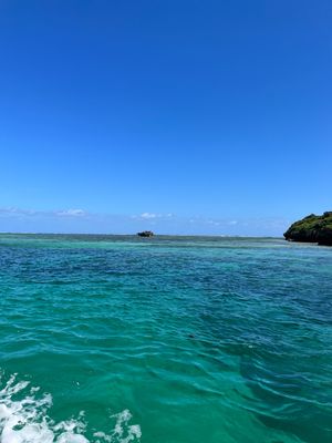 最終日は晴れたのでリベンジ川平湾。グラスボートで海亀に遭遇🐢しかも3匹（う...