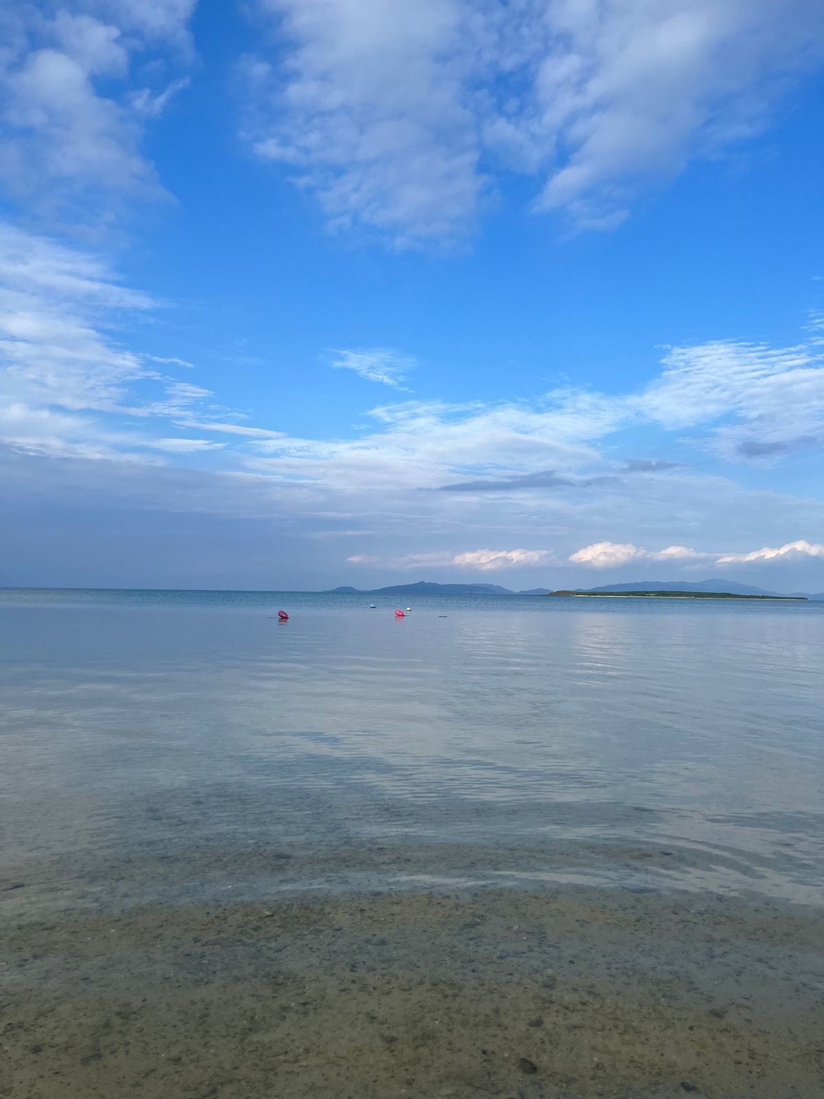 小浜島は海が綺麗すぎたし、冷えたオリオンビールが美味しすぎた
