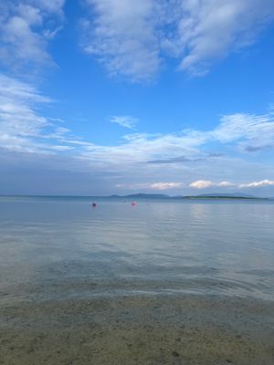 小浜島は海が綺麗すぎたし、冷えたオリオンビールが美味しすぎた