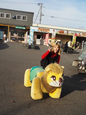 旭山動物園楽しかった🦁