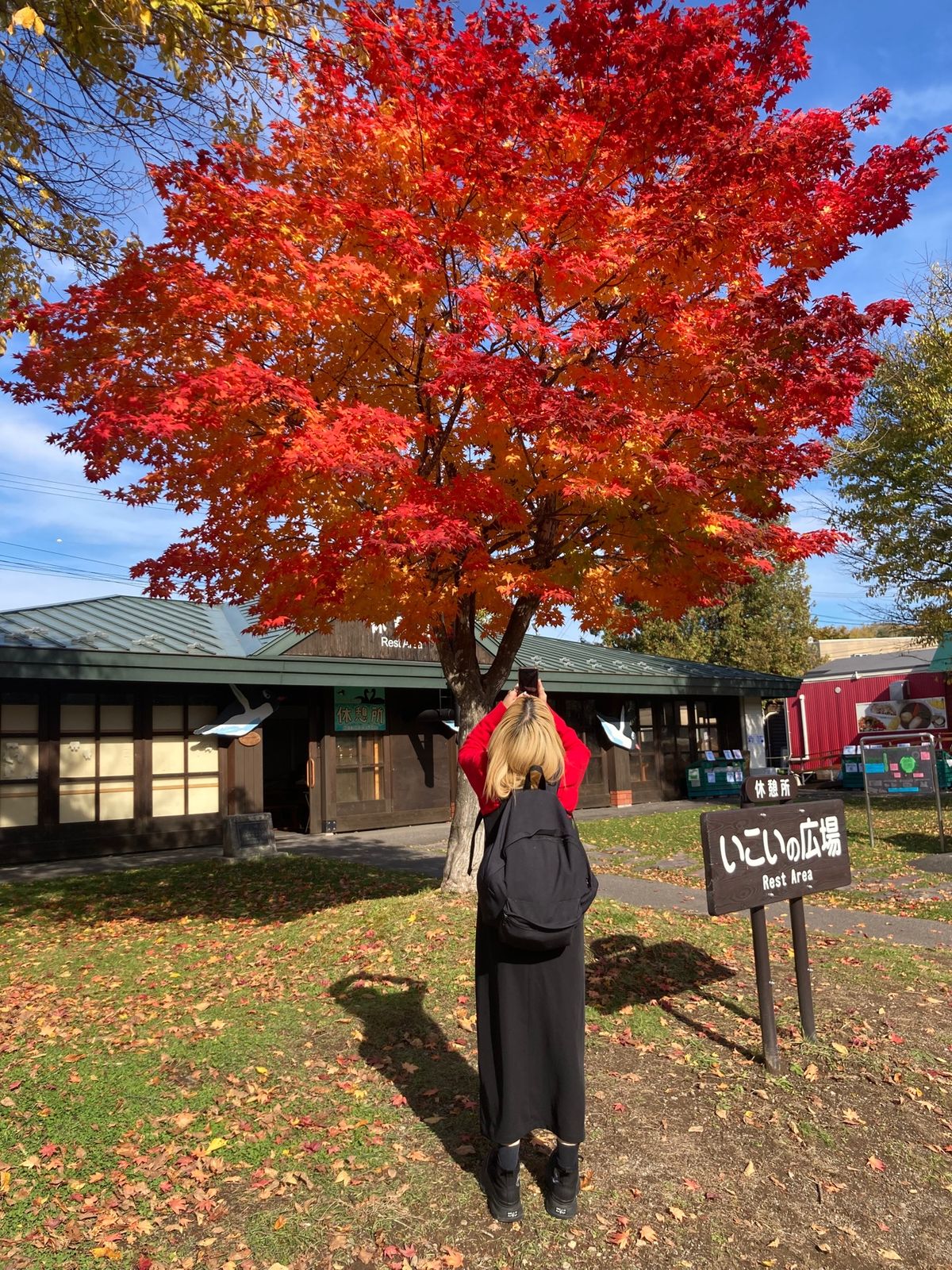 旭山動物園は雪虫いっぱい！紅葉綺麗でした🤩