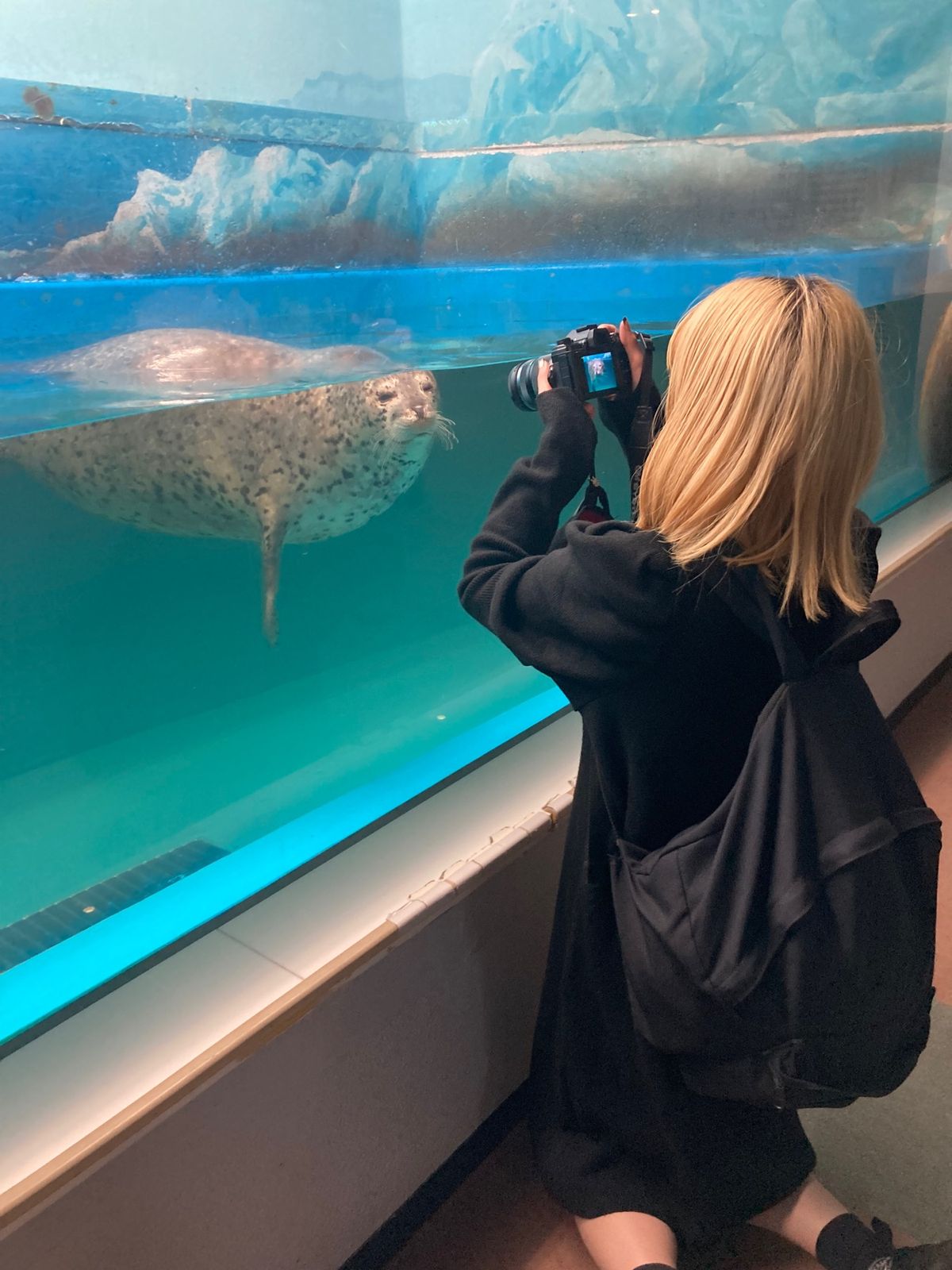 札幌でも大好きなあざらし見に行ってきた🦭
ローカルな水族館、楽しい♡
サン...