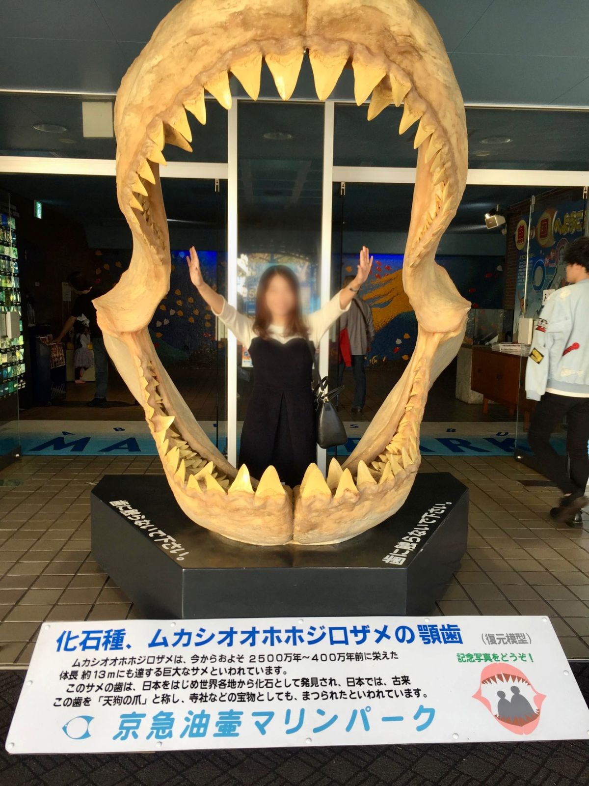 今更だけど京急油壺マリンパーク閉園してしまった…