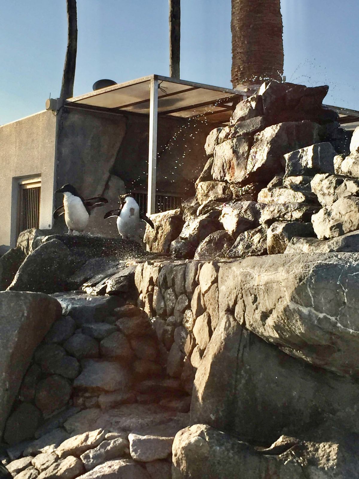 今更だけど京急油壺マリンパーク閉園してしまった…