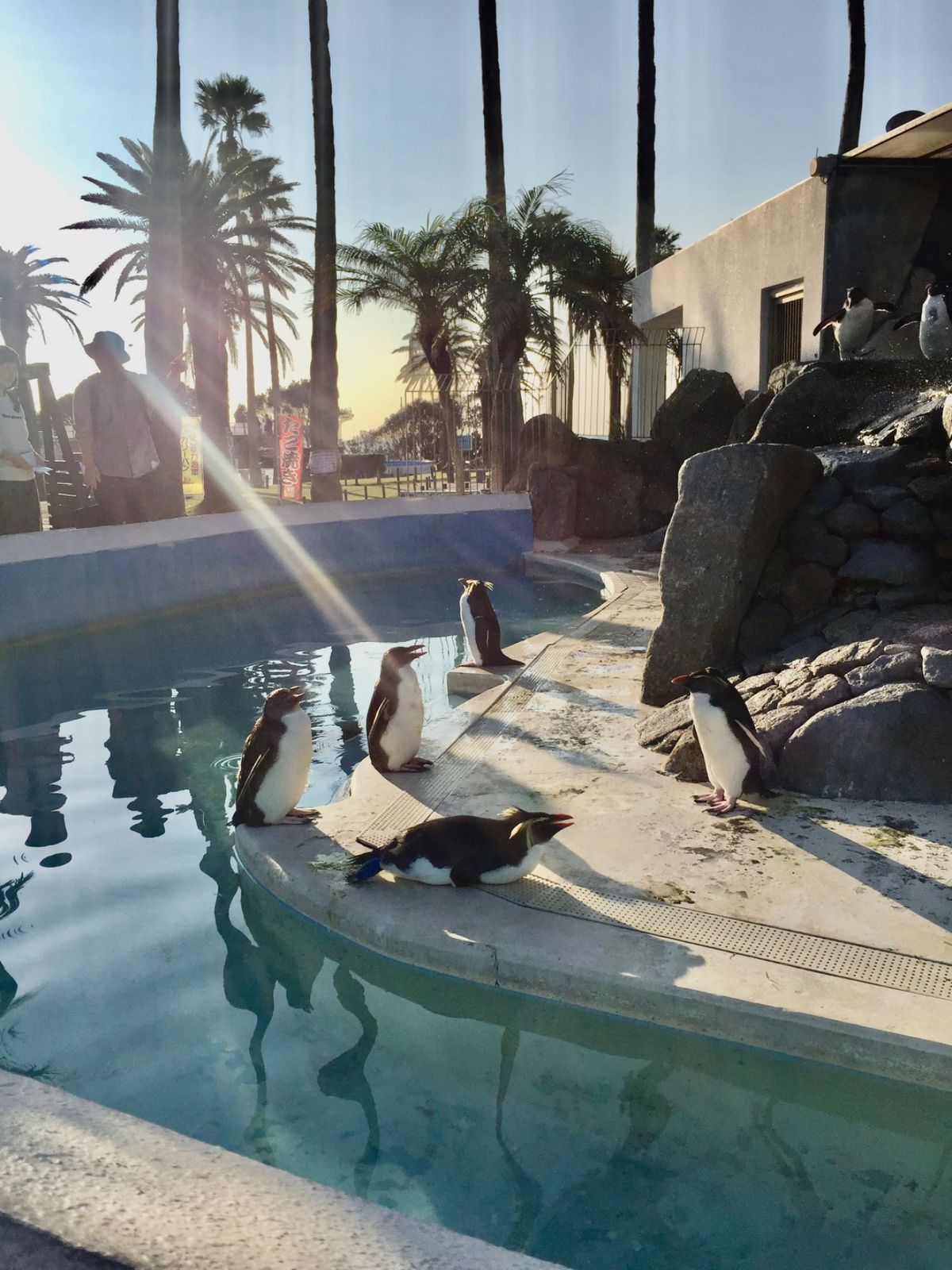 今更だけど京急油壺マリンパーク閉園してしまった…