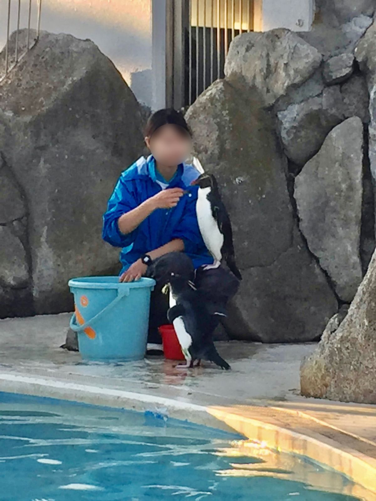 今更だけど京急油壺マリンパーク閉園してしまった…