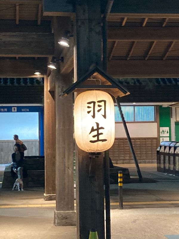日本・栃木県「【日帰り】大谷資料館と宇都宮餃子」の写真：帰宅途中に昨年、那須の帰りに立ち寄った羽...