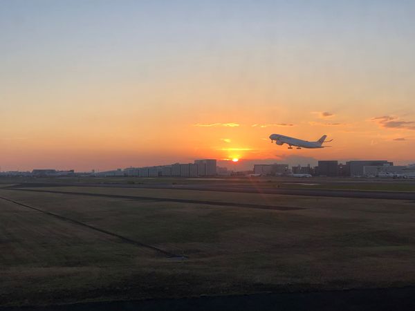 アメリカ(米国)・サンフランシスコ「2023.10SFO」の写真：飛びます飛びます♪