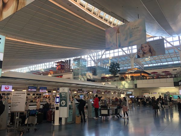 アメリカ(米国)・サンフランシスコ「2023.10SFO」の写真：きょうもココから
ひと月ほどで3回目

...