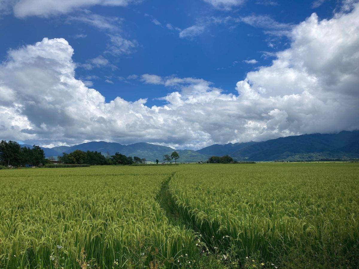 町を散策しつつ、レストランへ。
小たくさん並んでおり、それぞれの小屋にスピ...