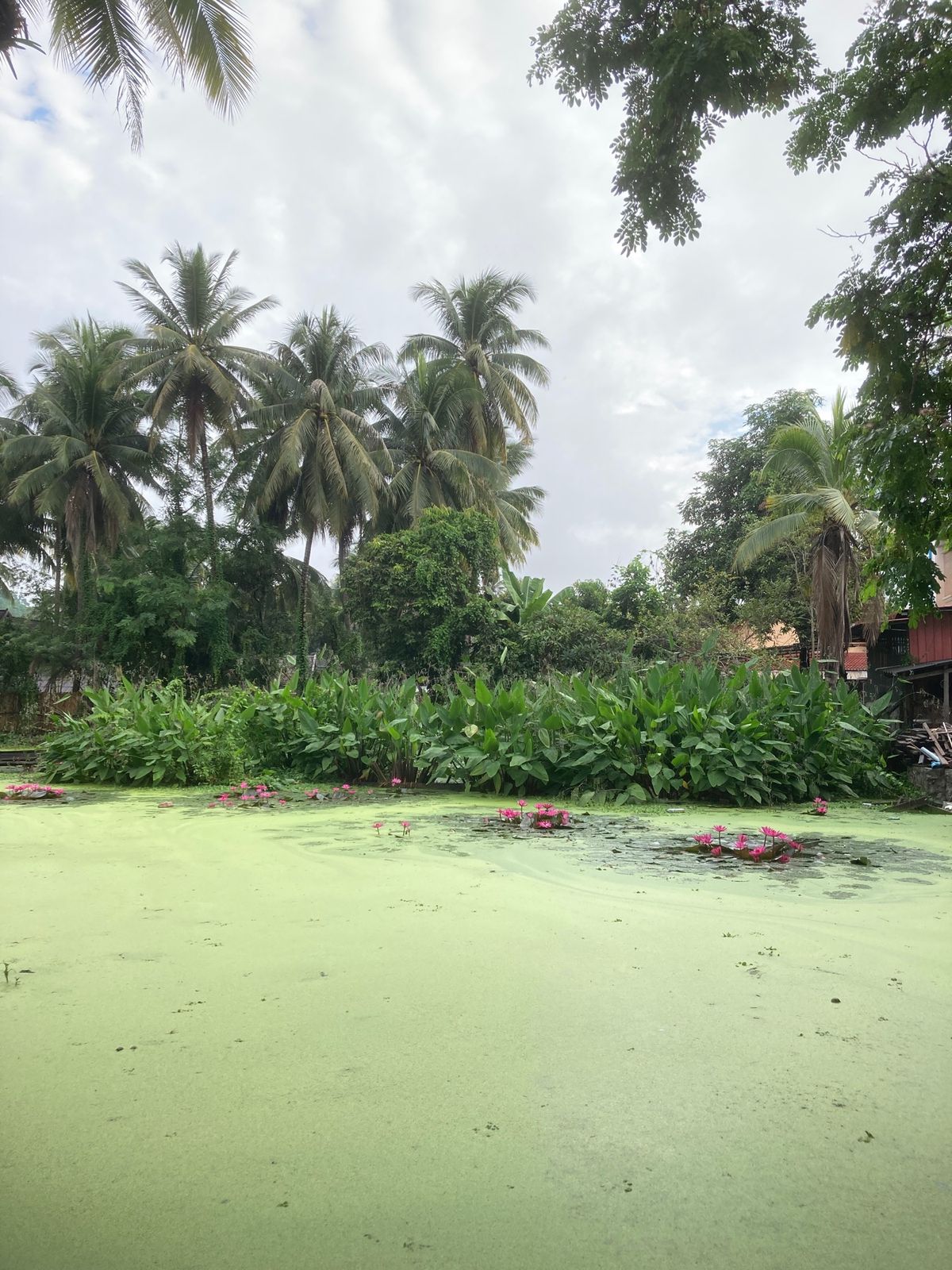 散歩していたらカフェ発見。朝の時間に静かでとてもよかったです。
ビアラオソ...