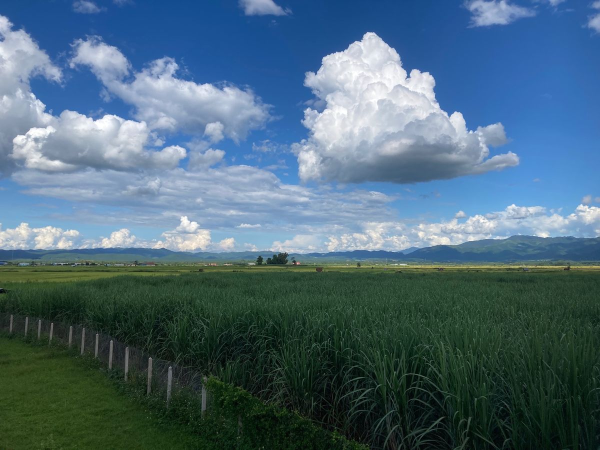 ムアンシンの街中から徒歩30分くらいのレストランへ。2階が飲食スペースなた...
