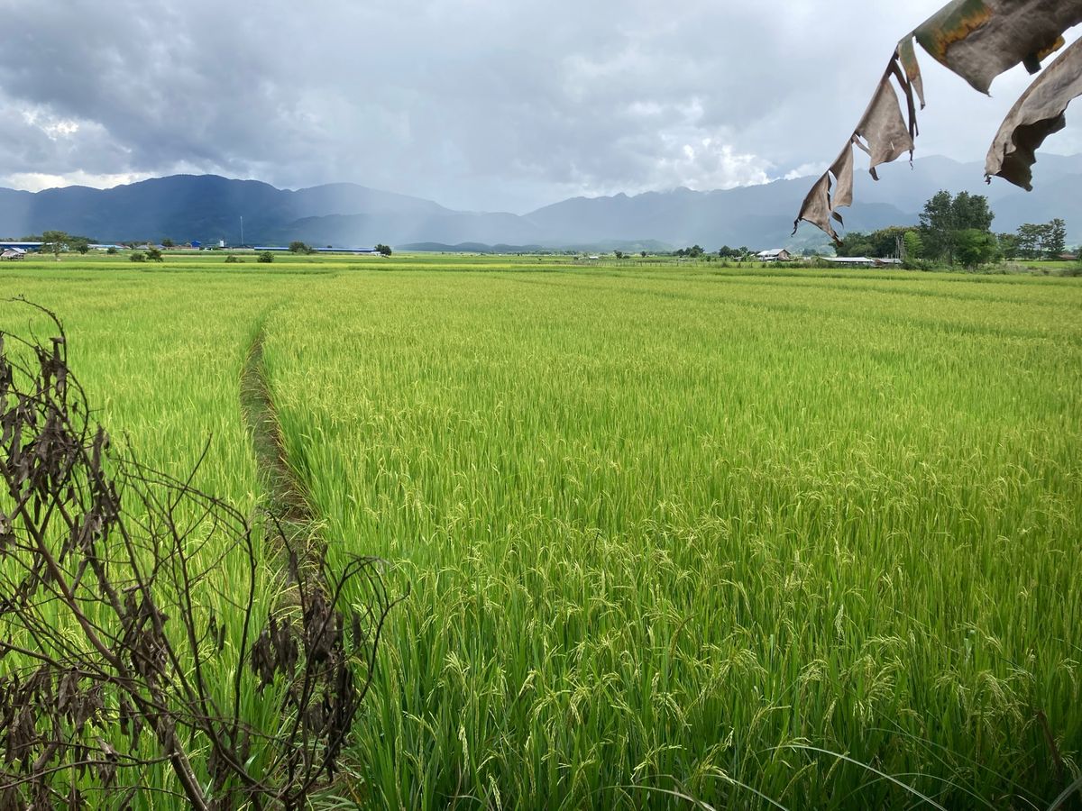 町を散策しつつ、レストランへ。
小たくさん並んでおり、それぞれの小屋にスピ...