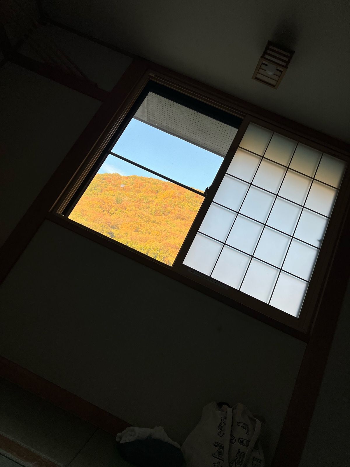 初民宿
私たちが泊まった部屋は
下すぐ隣に線路があって
電車が通るのが見れ...