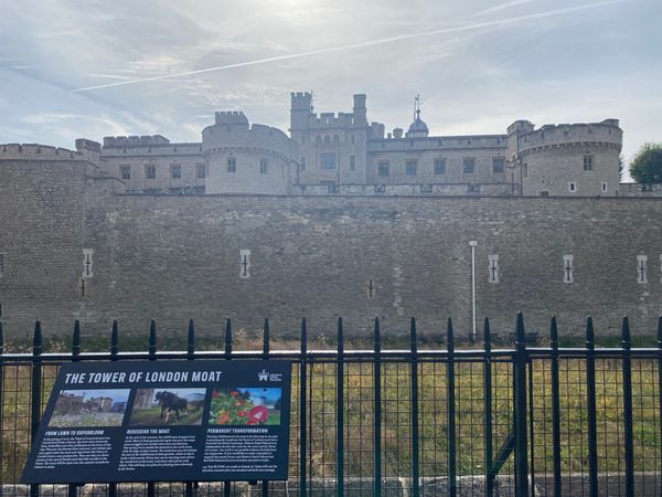 イギリス(英国)「ロンドン」の写真