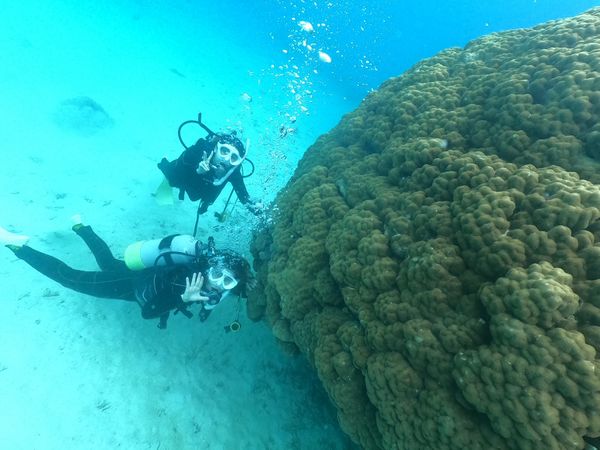 日本・沖縄県「石垣島旅行🌴」の写真