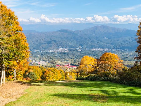 日本・新潟「妙高高原」の写真：赤倉観光ホテル