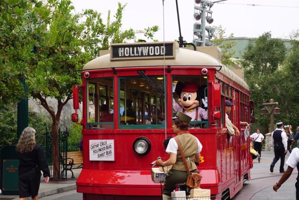 アメリカ(米国)・ロサンゼルス「カリフォルニア旅行🎡」の写真