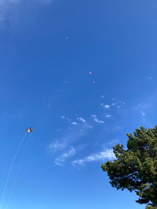 日本・静岡県「🇯🇵レンタカー借りた旅行」の写真