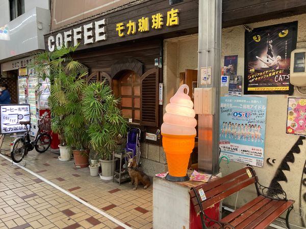 日本・静岡県「🇯🇵レンタカー借りた旅行」の写真