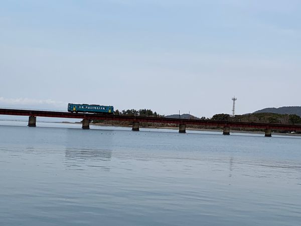 日本・京都府舞鶴市「陽気に誘われて」の写真