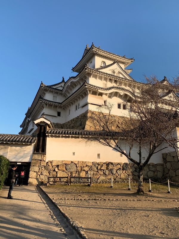 日本・徳島県「日帰りで一人旅」の写真