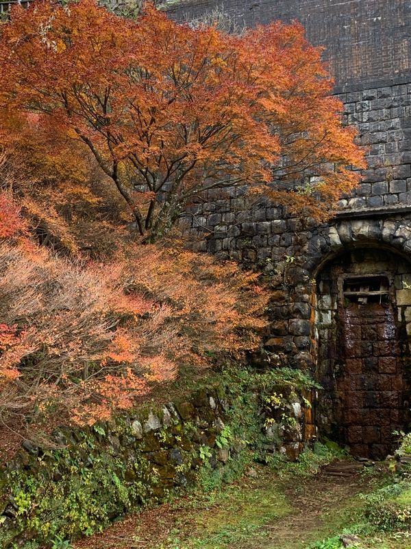 日本・愛媛県「家族旅行」の写真