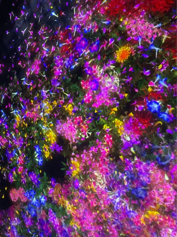 日本・東京都「東京・川越旅行🗼」の写真：チームラボ