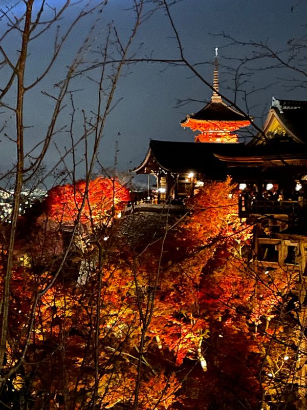 日本・京都府「日帰り京都旅⛩️」の写真：清水寺