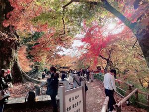 北野天満宮