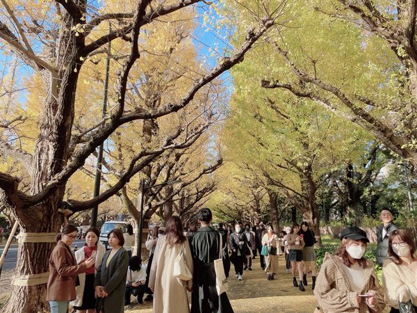 日本・東京都「東京旅行🗼」の写真