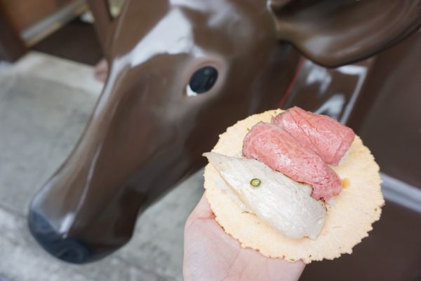 日本・岐阜県「下呂温泉・飛騨高山旅行🐸」の写真