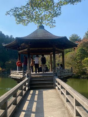 成田山公園⛲️
綺麗で静かで、心地よかったです(^^)