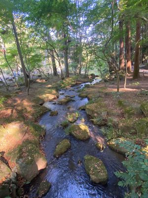 成田山公園⛲️
綺麗で静かで、心地よかったです(^^)