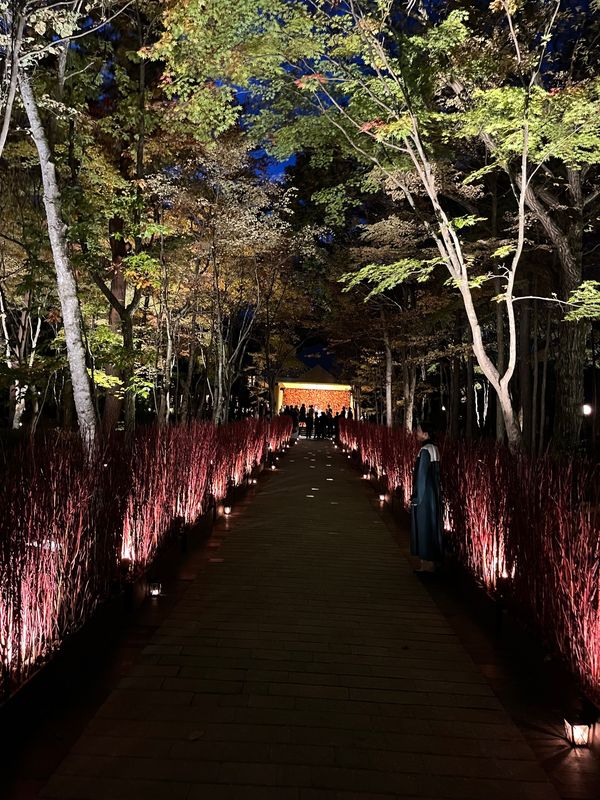 日本・長野県「長野旅行No.2（軽井沢）」の写真