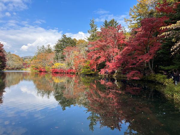 日本・長野県「長野旅行No.2（軽井沢）」の写真