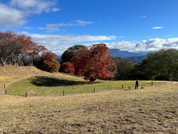 日本・長野県「長野旅行No.3（美ヶ原高原、白馬）」の写真
